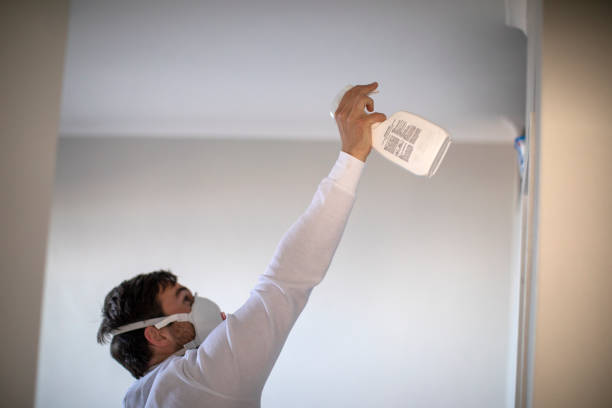 Best Mold Damage Repair  in Mallory, WV